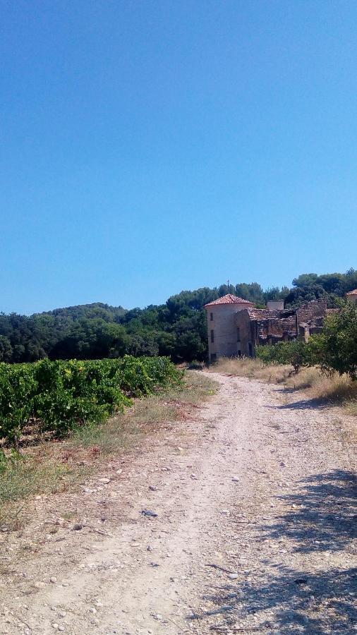 Les Cigales Bed & Breakfast Villelaure Exterior photo