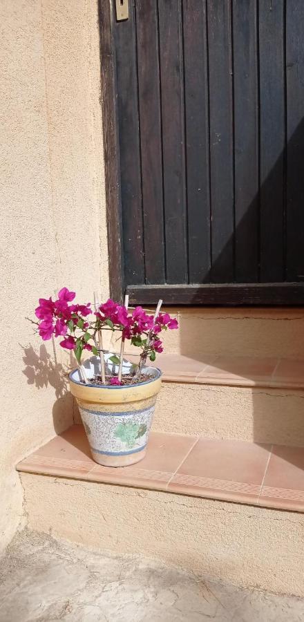 Les Cigales Bed & Breakfast Villelaure Exterior photo
